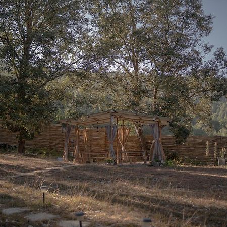 Nayalap - Rural Himalayan Glamping Hotel Shitlakhet Bagian luar foto