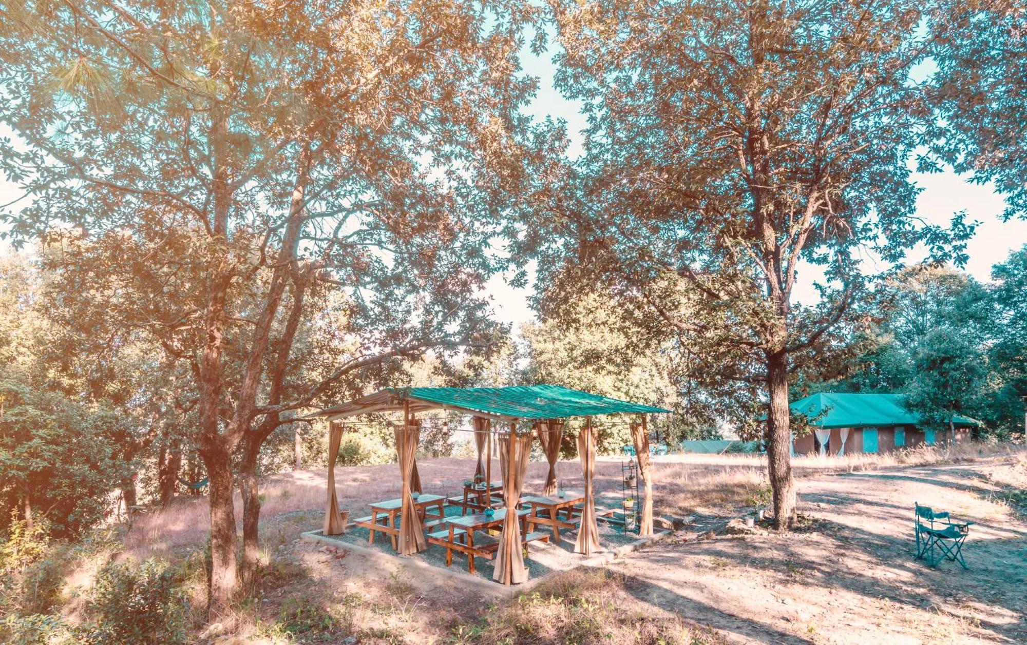 Nayalap - Rural Himalayan Glamping Hotel Shitlakhet Bagian luar foto